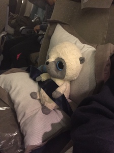 Got to have some fun while on the plane! Pisolo all comfy in his own seat on the plane! Safety first :P